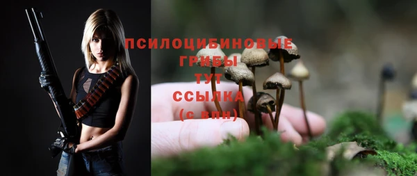 спиды Алексин