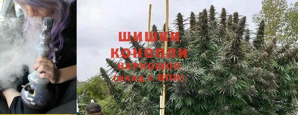 твердый Алзамай
