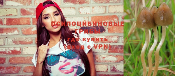 твердый Алзамай