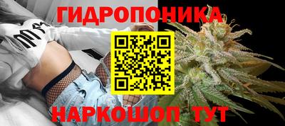 мяу мяу мука Ирбит