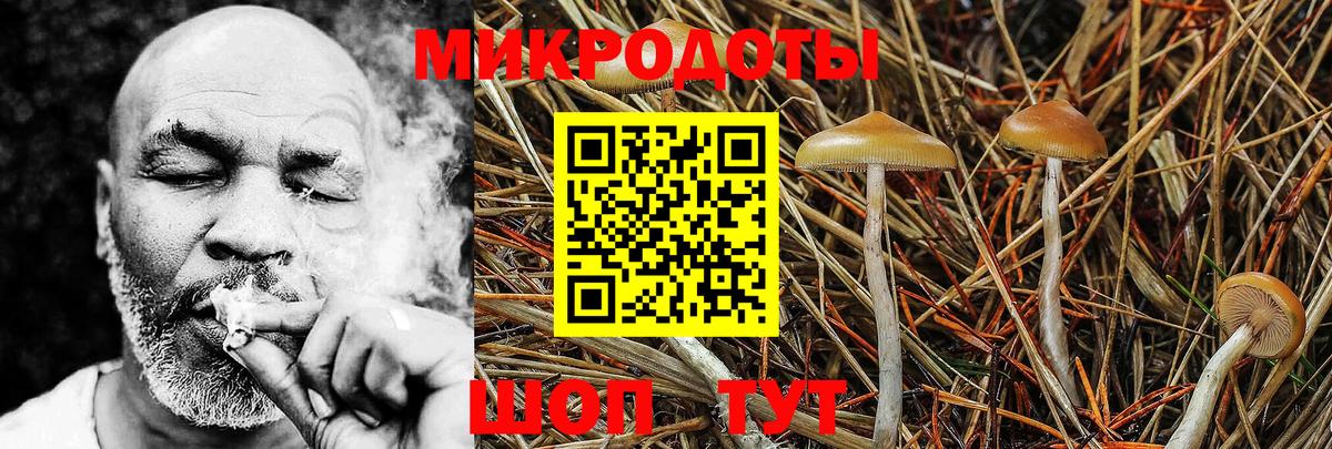 Галлюциногенные грибы Psilocybine cubensis  дарнет шоп  Набережные Челны  Галлюциногенные грибы прущие грибы  Вход с VPN 